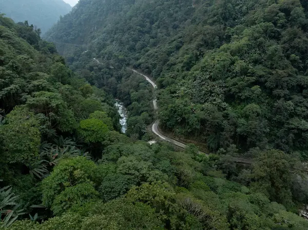 Yalu Zangbu Nehri Vadisi bölgesindeki güzel tropikal orman manzarası, Tibet, Çin 