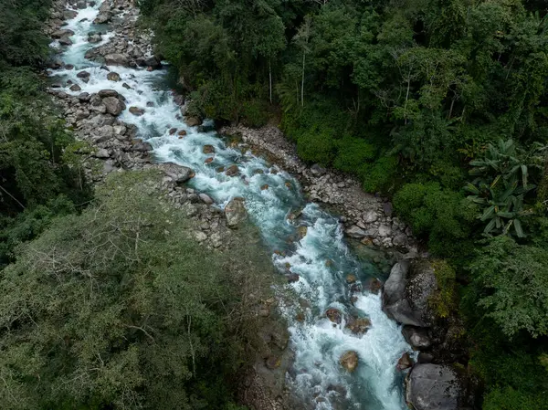 Yalu Zangbu Nehri Vadisi bölgesindeki güzel tropikal orman manzarası, Tibet, Çin 
