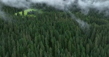 Sisli bir günde güzel dağ manzarası.