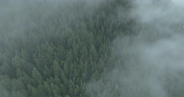 Sisli bir günde güzel dağ manzarası.