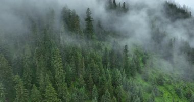 Sisli bir günde güzel dağ manzarası.