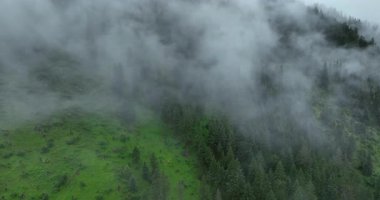 Sisli bir günde güzel dağ manzarası.