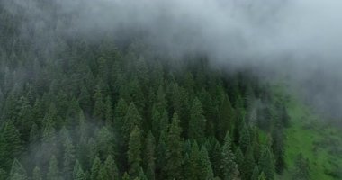 Sisli bir günde güzel dağ manzarası.