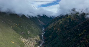 Nehir vadisi, Tibet, Çin 'deki güzel orman manzarası.