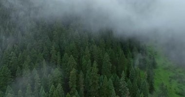 Sisli bir günde güzel dağ manzarası.