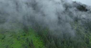 Sisli bir günde güzel dağ manzarası.