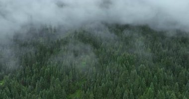 Sisli bir günde güzel dağ manzarası.