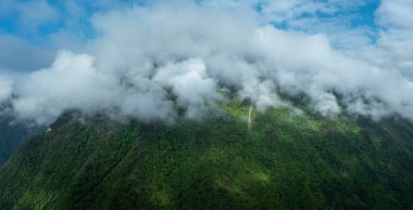 Güzel sisli orman dağ manzarası