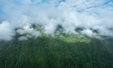 Güzel sisli orman dağ manzarası
