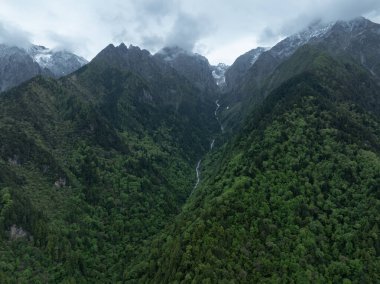 Güzel yüksek irtifa manzarası. Karla kaplı dağ ve orman manzarası.