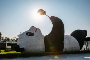 Dujiangyan,China : Jan,12, 2025 : Gigantic sculpture of selfie-taking panda gains popularity or 