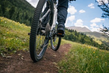 Çayırlık orman dağlarında dağ bisikleti sürmek