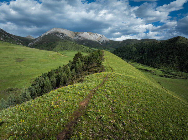 Вид с воздуха на красивые высокогорные пастбища и лесной пейзаж Китая
