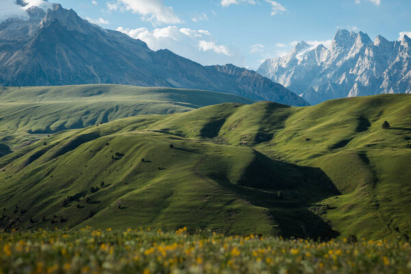 Красивые высокогорные снежные шапки горы и лесные луга пейзаж в Китае