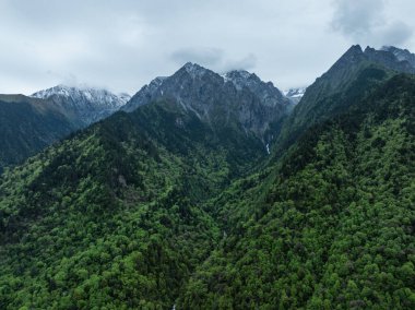 Güzel yüksek irtifa manzarası. Karla kaplı dağ ve orman manzarası.