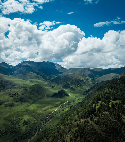 Вид с воздуха на красивые высокогорные снежные шапки и ландшафт лесных лугов в Китае