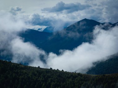 Çin 'deki güzel sisli yüksek irtifa dağ manzarası