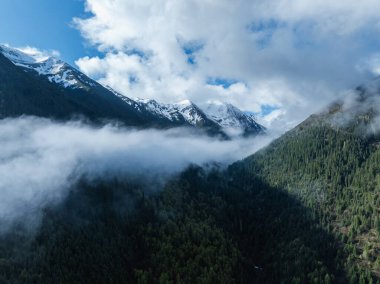 Sis bulutlarının içinden aktığı sık ve yeşil bir ormanın havadan çekilmiş fotoğrafı..