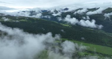 Uçsuz bucaksız, yemyeşil bir manzaranın yuvarlanan tepeleri kısmen alçak bulutlarla ya da bulutlu bir gökyüzünün altındaki sisle kaplı bir görüntüsü..