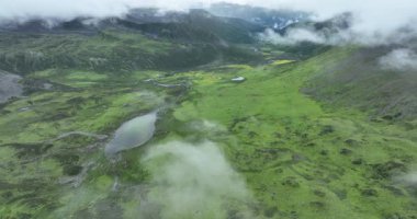 Uçsuz bucaksız, yemyeşil bir manzaranın yuvarlanan tepeleri kısmen alçak bulutlarla ya da bulutlu bir gökyüzünün altındaki sisle kaplı bir görüntüsü..
