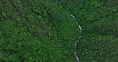 Devamlı yeşil ağaçları ve nehri olan görkemli yeşil dağlar. Drone videosu 