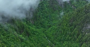  Yoğun ormanlarla kaplı yemyeşil dağların nefes kesici hava manzarası. Alçak asılı bulutlar ve sis tepelere yapışıyor ve vadiyi dolduruyor, dingin ve mistik bir atmosfer yaratıyor.