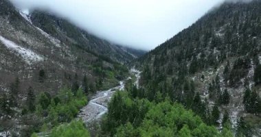 Sisli bir günde, ormanlık bir dağ vadisinde süzülen karlı bir nehrin havadan görünüşü..