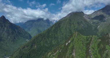 Ağaçlı manzara. Yemyeşil bir dağ sırtı havadan görünüyor.. 