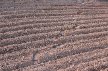 Pulluklu alan çizgilerinde insan ayaklarının doku arkaplanı