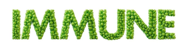 Імунне Слово Зроблене Шрифту Молекули Клітин Зелених Бактерій Здоров Добробут — стокове фото