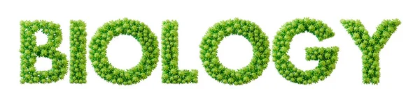 Βιολογική Λέξη Φτιαγμένη Από Πράσινο Μόριο Βακτηριδίων Γραμματοσειρά Υγεία Και — Φωτογραφία Αρχείου