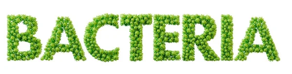 Bakteryjne Słowo Wykonane Zielonej Czcionki Molekuły Bakterii Zdrowie Dobre Samopoczucie — Zdjęcie stockowe