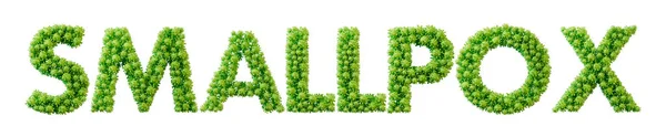 Smallpox word made from green bacteria cell molecule font. Health and wellbeing. 3D Rendering.