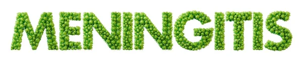Λέξη Μηνιγγίτιδας Από Πράσινο Μόριο Κυττάρων Βακτηρίων Γραμματοσειρά Υγεία Και — Φωτογραφία Αρχείου