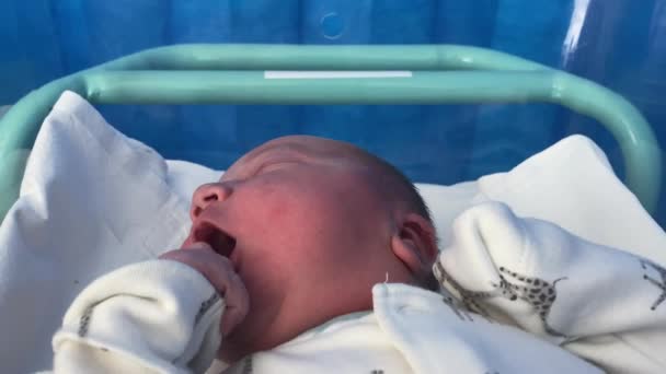 Bebé Recién Nacido Que Duerme Una Sala Parto Del Hospital — Vídeos de Stock