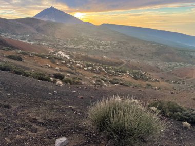 Tide Milli Parkı 'nın güzel manzarası, Tenerife, Kanarya Adaları, İspanya