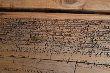 Ahşap dokular. Ahşap bir restoran masası. Tahta ve tahtaların birliğinde işaretler var..