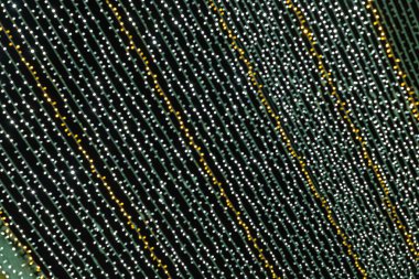 Soyut ışıklar. Altın ve yeşil ışıklar, odak dışı, siyah arka planlı Noel ışıkları. Tenerife, Kanarya Adaları, İspanya.