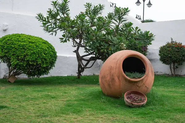 Büyük kavanozlu bahçe. Puerto de la Cruz, Tenerife, Kanarya Adası, İspanya