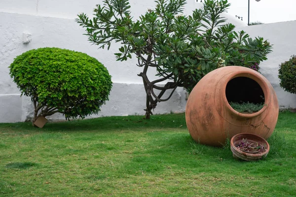 Büyük kavanozlu bahçe. Puerto de la Cruz, Tenerife, Kanarya Adası, İspanya