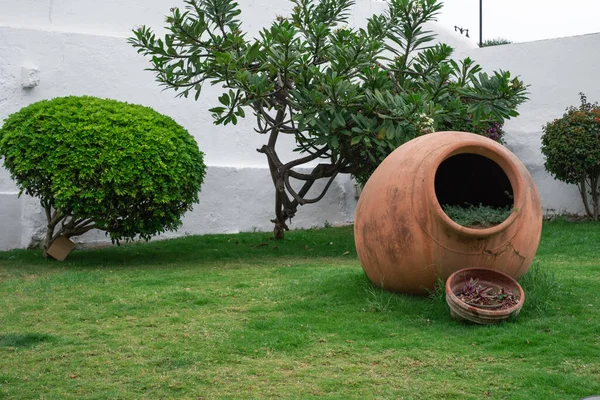 Büyük kavanozlu bahçe. Puerto de la Cruz, Tenerife, Kanarya Adası, İspanya