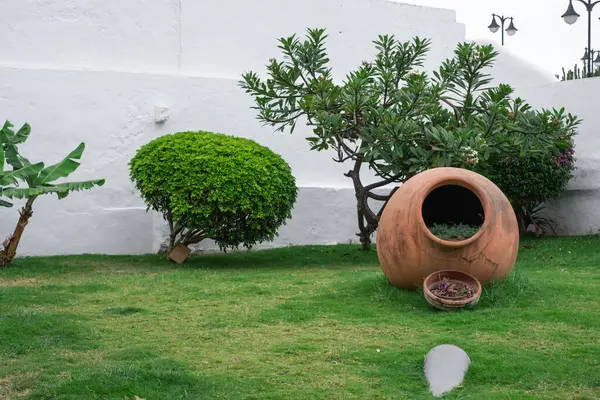 Büyük kavanozlu bahçe. Puerto de la Cruz, Tenerife, Kanarya Adası, İspanya