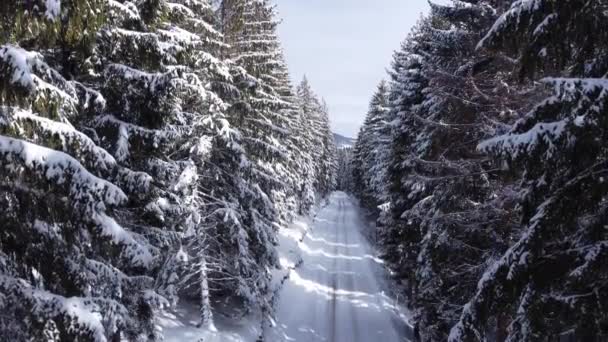 Carro Dirigindo Estrada Montanha Inverno Vista Aérea Floresta Nevada Com — Vídeo de Stock