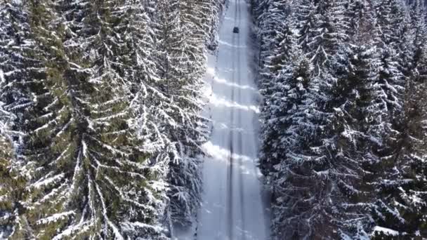 Jazda Samochodem Zimowych Górskich Drogach Widok Lotu Ptaka Snowy Las — Wideo stockowe