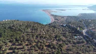 Aerial view of Agios Ioannis beach in Lefkada island in Greece. In front are the olive trees and in distance is mainland.
