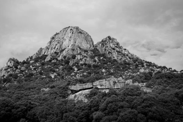 stock image Beautiful black and white landscape of a rocky mountain, its vegetation and trees in the mountains of Leon, in Spain, Europe