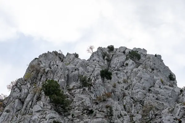 在西班牙Len的Valle Anciles 一座岩石山的顶部 有一些植被 美丽的风景 — 图库照片