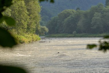 Ormanın ortasında kayaların ve ağaçların olduğu güzel bir nehir manzarasının yanı sıra Polonya, Avrupa 'nın Karpatya Dağları' ndaki altın saatin başlangıcından itibaren sarı bir renk.