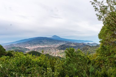 Dağları, kasabaları ve Tenerife, Kanarya Adaları, İspanya, Avrupa 'daki Teide zirvesini gösteren doğal çalı ve ağaç çerçeveli güzel bir manzara.