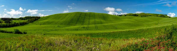 Zielone Wzgórza Crete Senesi Siena Włochy — Zdjęcie stockowe